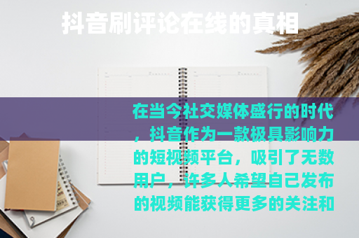 抖音刷评论在线的真相
