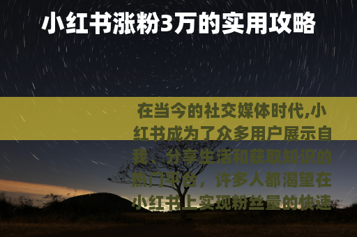 小红书涨粉3万的实用攻略