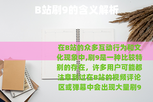 B站刷9的含义解析