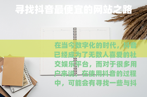 寻找抖音最便宜的网站之路