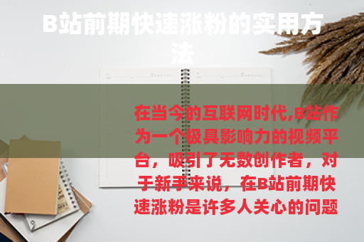 B站前期快速涨粉的实用方法