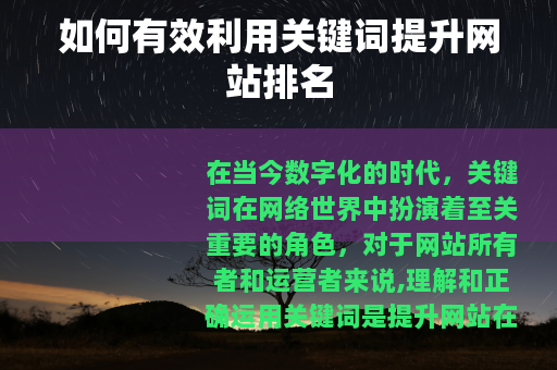 如何有效利用关键词提升网站排名