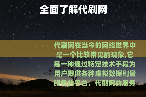 全面了解代刷网
