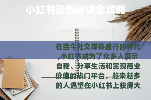 小红书涨粉秘诀全攻略