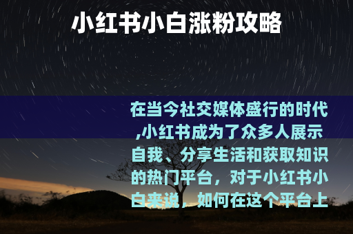 小红书小白涨粉攻略