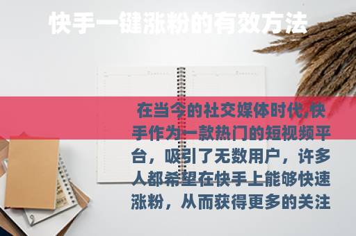 快手一键涨粉的有效方法