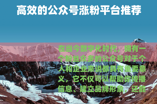 高效的公众号涨粉平台推荐