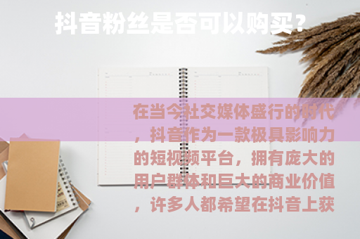 抖音粉丝是否可以购买？