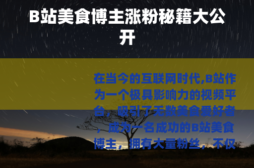 B站美食博主涨粉秘籍大公开