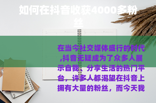 如何在抖音收获4000多粉丝