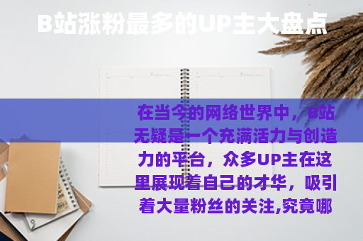 B站涨粉最多的UP主大盘点