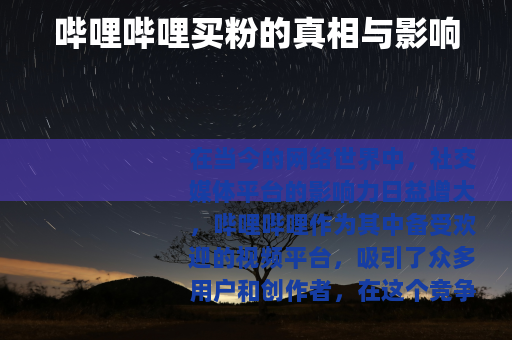 哔哩哔哩买粉的真相与影响