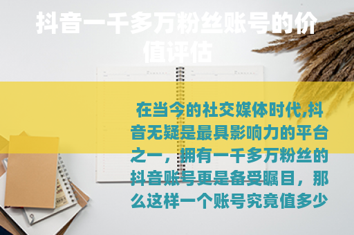 抖音一千多万粉丝账号的价值评估