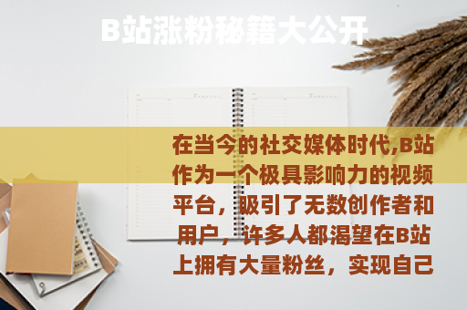 B站涨粉秘籍大公开