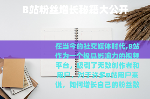 B站粉丝增长秘籍大公开