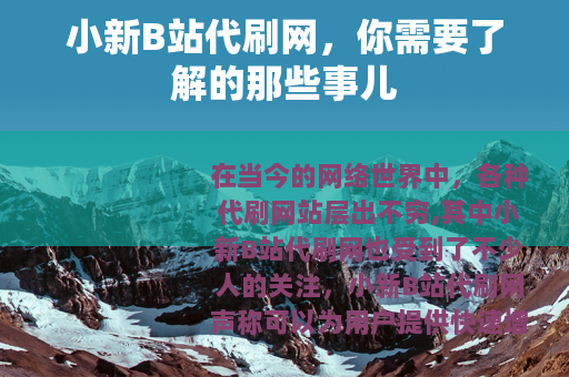 小新B站代刷网，你需要了解的那些事儿