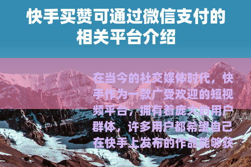 快手买赞可通过微信支付的相关平台介绍