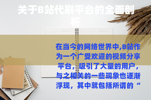 关于B站代刷平台的全面剖析