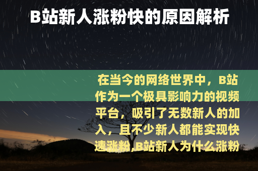 B站新人涨粉快的原因解析