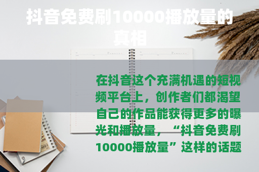 抖音免费刷10000播放量的真相
