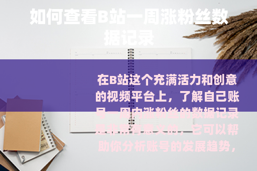如何查看B站一周涨粉丝数据记录