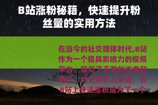 B站涨粉秘籍，快速提升粉丝量的实用方法