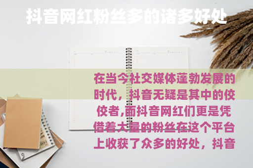 抖音网红粉丝多的诸多好处