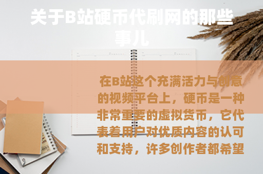 关于B站硬币代刷网的那些事儿