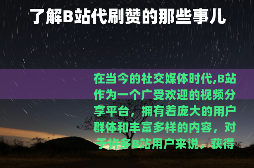 了解B站代刷赞的那些事儿