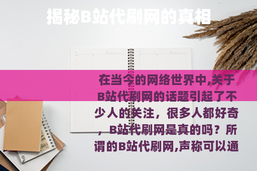 揭秘B站代刷网的真相