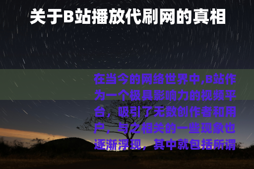 关于B站播放代刷网的真相