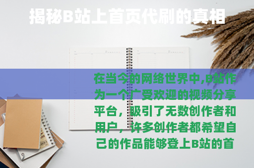 揭秘B站上首页代刷的真相