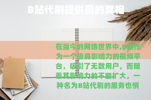 B站代刷提供商的真相