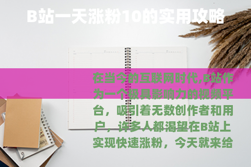 B站一天涨粉10的实用攻略