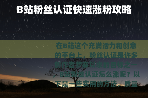 B站粉丝认证快速涨粉攻略