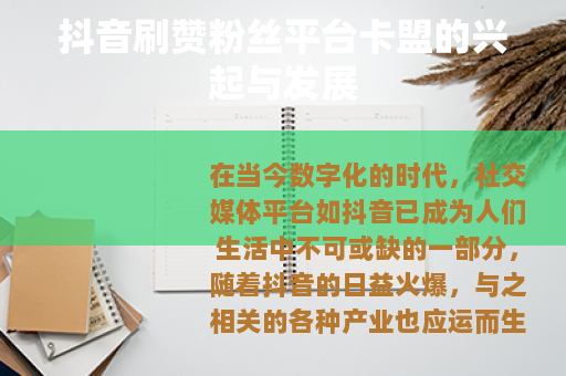 抖音刷赞粉丝平台卡盟的兴起与发展