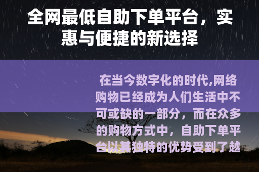 全网最低自助下单平台，实惠与便捷的新选择