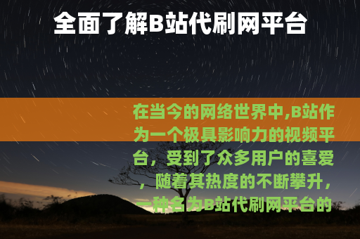 全面了解B站代刷网平台