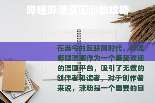 哔哩哔哩漫画涨粉攻略