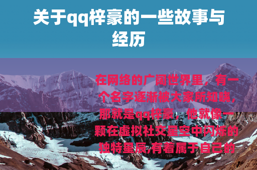 关于qq梓豪的一些故事与经历