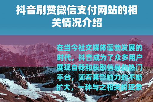 抖音刷赞微信支付网站的相关情况介绍