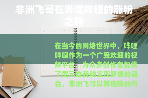 非洲飞哥在哔哩哔哩的涨粉之路