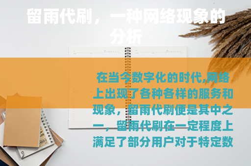 留雨代刷，一种网络现象的分析