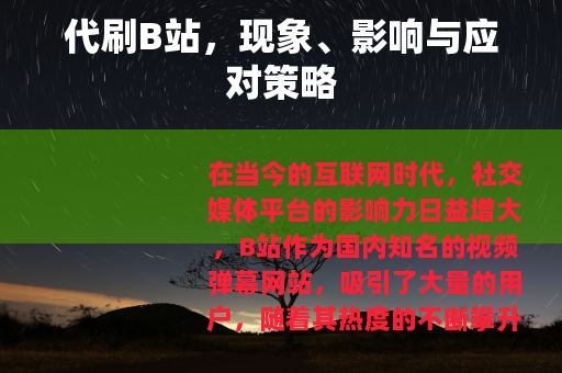代刷B站，现象、影响与应对策略