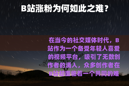 B站涨粉为何如此之难？