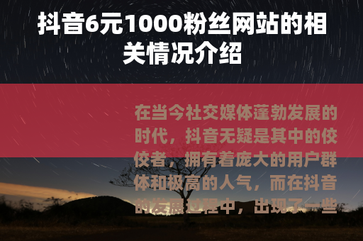 抖音6元1000粉丝网站的相关情况介绍