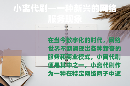 小离代刷—一种新兴的网络服务现象