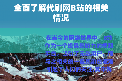 全面了解代刷网B站的相关情况