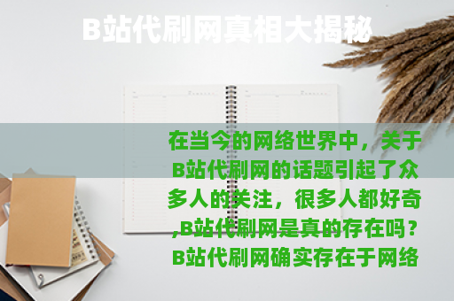B站代刷网真相大揭秘