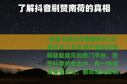 了解抖音刷赞南荷的真相